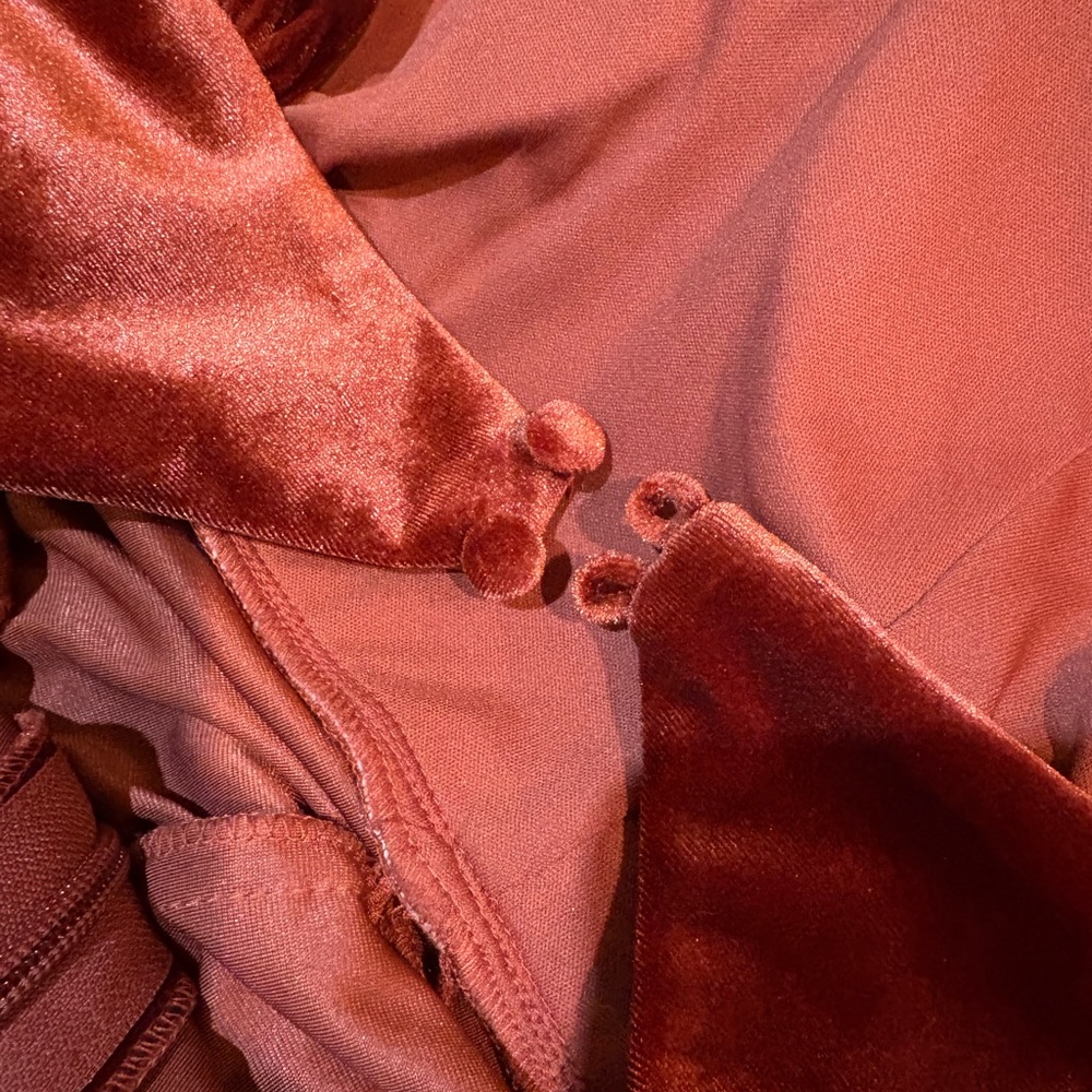 Azazie velvet terracotta Dress - Picture 5 of 9